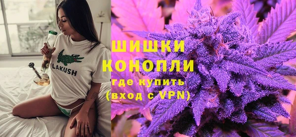 шишки Алексеевка