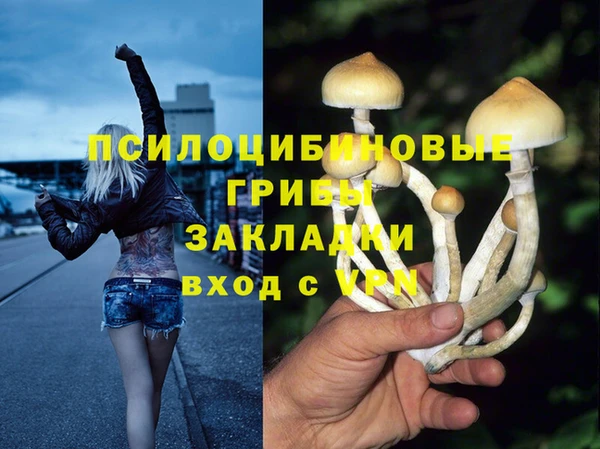 спайс Алзамай