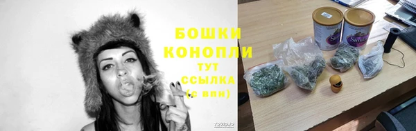 шишки Алексеевка