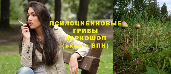 спайс Алзамай