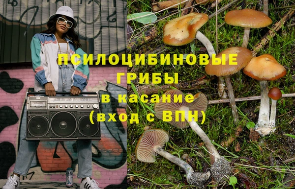 спайс Алзамай