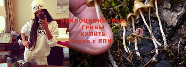 шишки Алексеевка