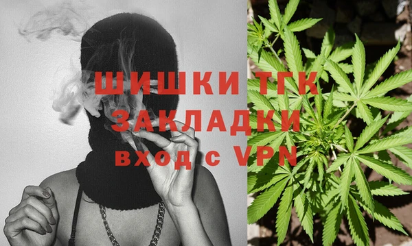 шишки Алексеевка
