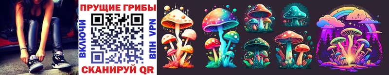 купить наркоту  Стародуб  Галлюциногенные грибы Magic Shrooms 